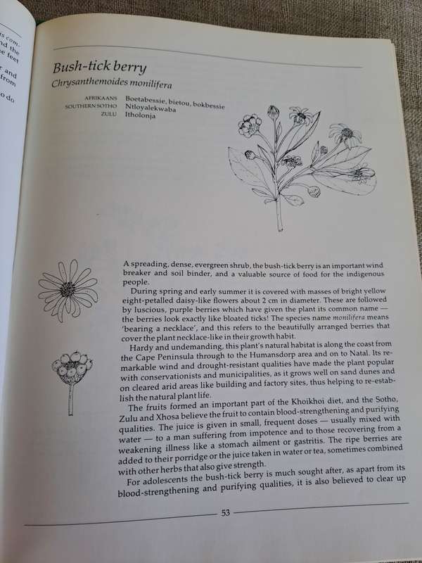 Indigenous Healing Plants - Margaret Roberts