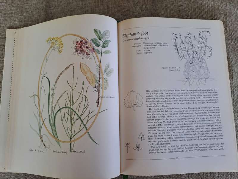 Indigenous Healing Plants - Margaret Roberts