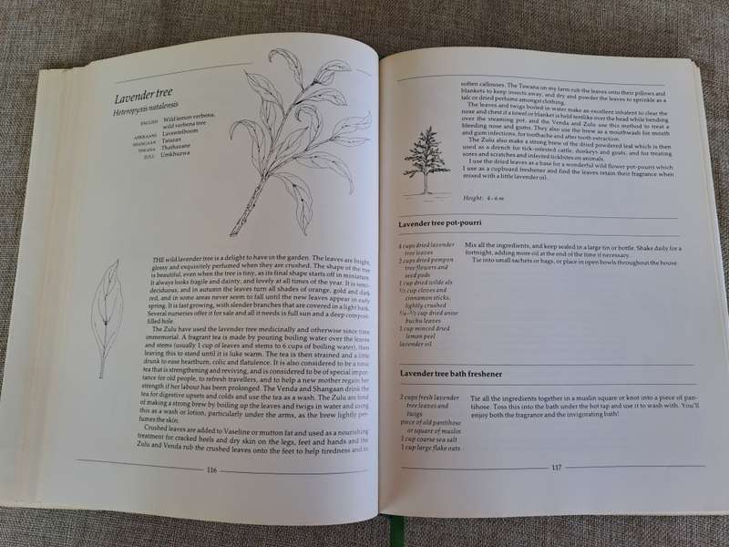 Indigenous Healing Plants - Margaret Roberts