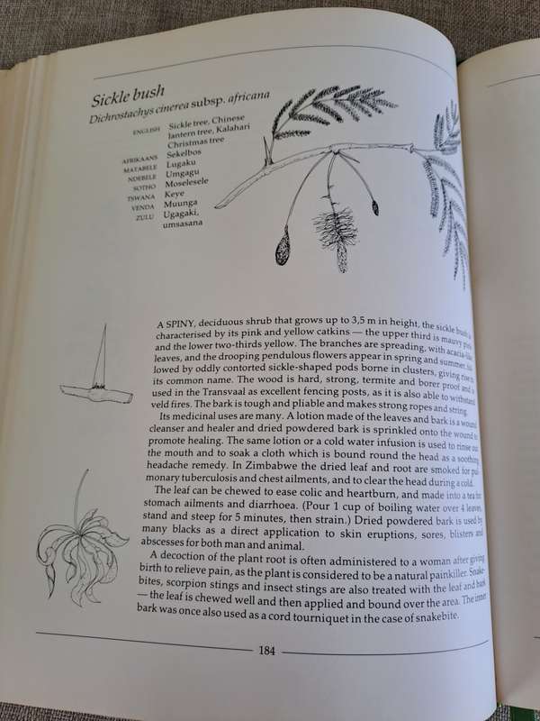Indigenous Healing Plants - Margaret Roberts