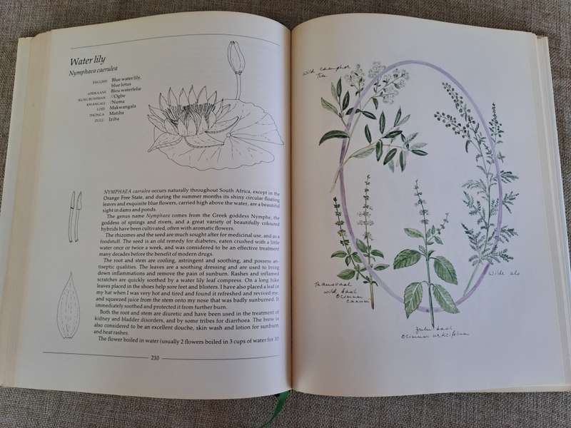 Indigenous Healing Plants - Margaret Roberts