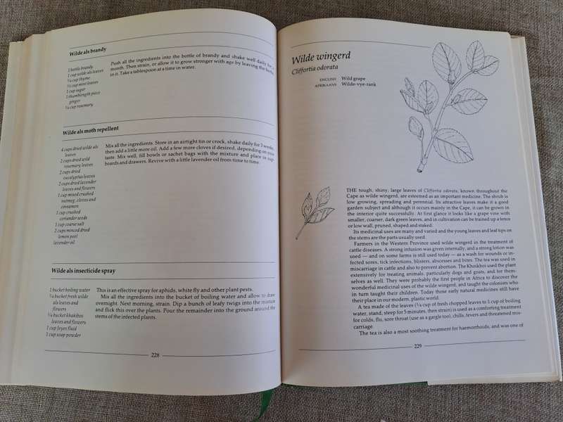 Indigenous Healing Plants - Margaret Roberts