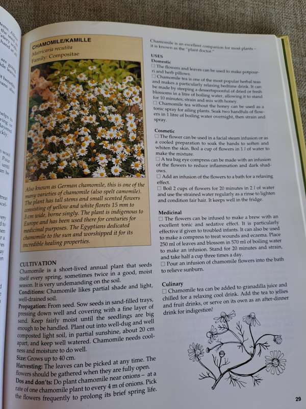 A-Z of Herbs - Margaret Roberts