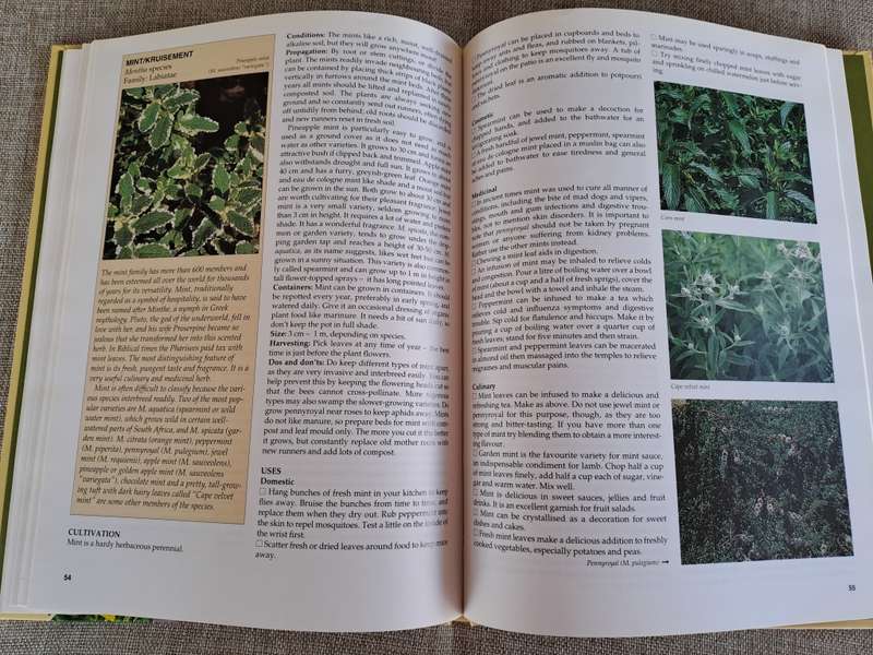 A-Z of Herbs - Margaret Roberts