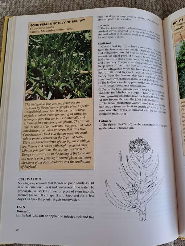 A-Z of Herbs - Margaret Roberts