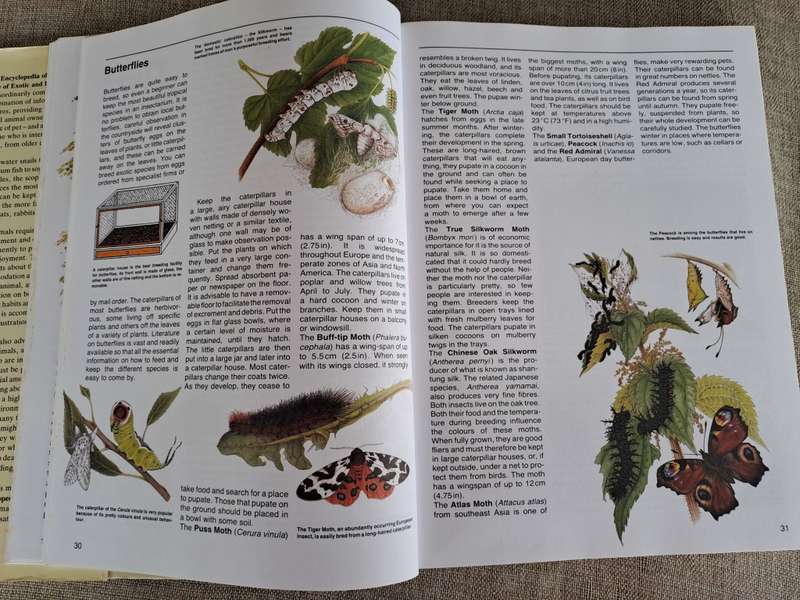 The Encyclopedia of Animals - The Care of Domestic and Exotic Pets