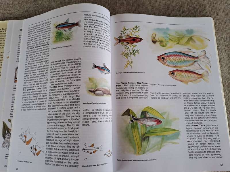 The Encyclopedia of Animals - The Care of Domestic and Exotic Pets