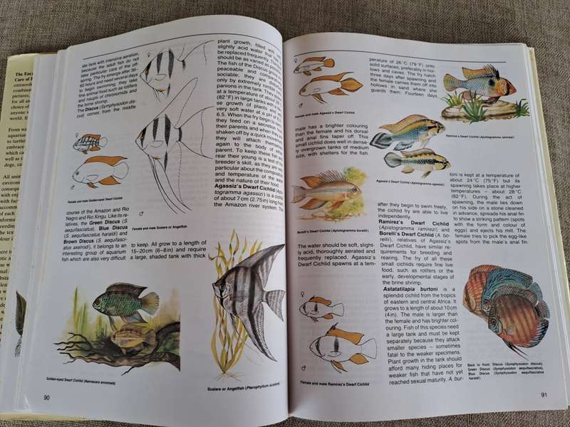 The Encyclopedia of Animals - The Care of Domestic and Exotic Pets