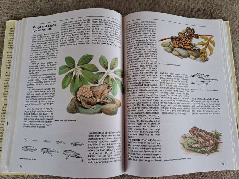 The Encyclopedia of Animals - The Care of Domestic and Exotic Pets