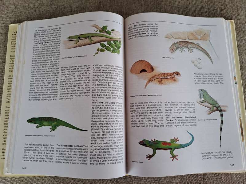 The Encyclopedia of Animals - The Care of Domestic and Exotic Pets