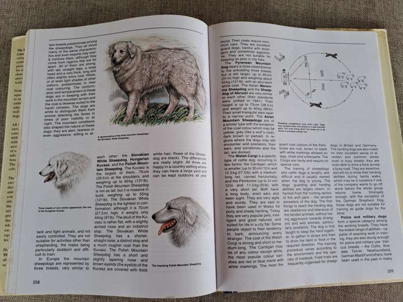 The Encyclopedia of Animals - The Care of Domestic and Exotic Pets