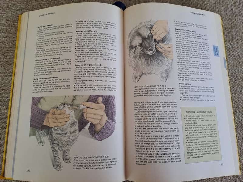 Reader`s Digest What To Do In An Emergency