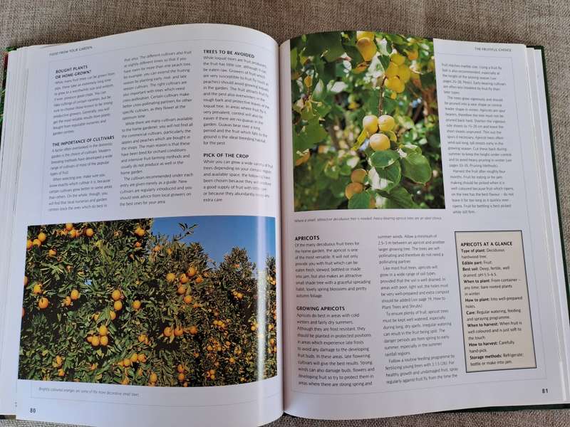 Food from Your Garden: A Southern African Guide to Growing Your Own Fruit, Vegetables and Herbs