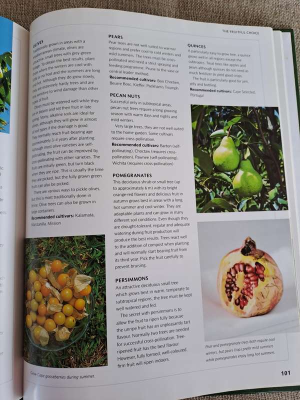 Food from Your Garden: A Southern African Guide to Growing Your Own Fruit, Vegetables and Herbs