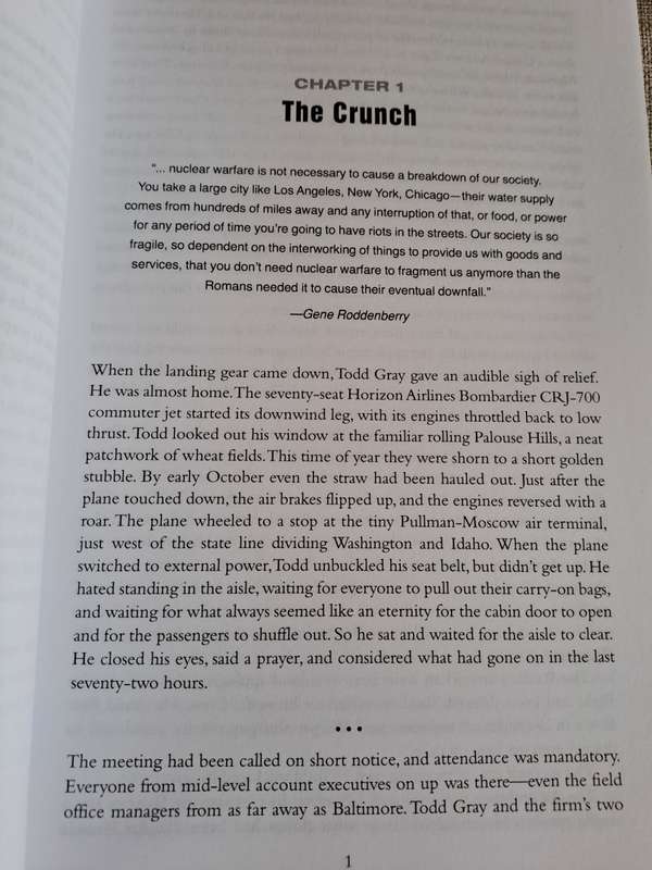 Patriots: A Novel of Survival in the Coming Collapse - James Wesley, Rawles
