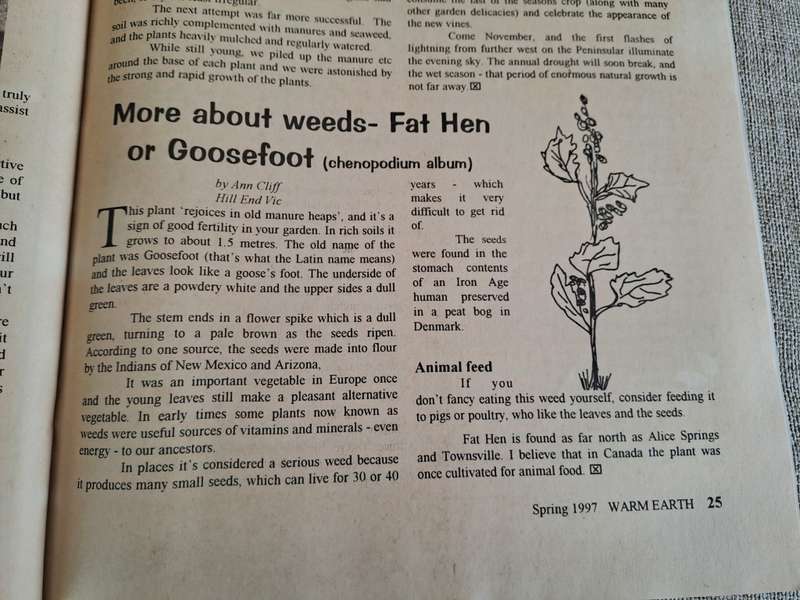 Warm Earth: Organic Growing - Healthy Living 1997 (2 magazines)