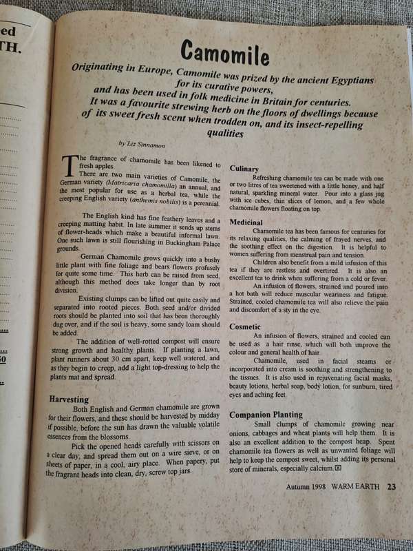 Warm Earth: Organic Growing - Healthy Living 1998 (3 magazines)