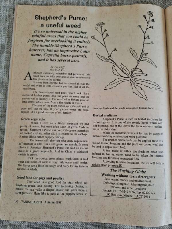 Warm Earth: Organic Growing - Healthy Living 1998 (3 magazines)