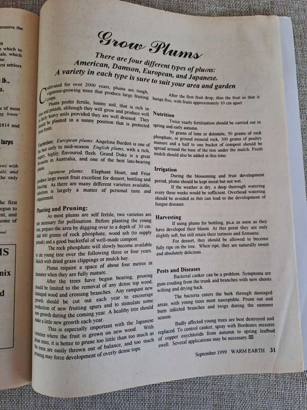 Warm Earth: Organic Growing - Healthy Living 1999 (2 magazines)