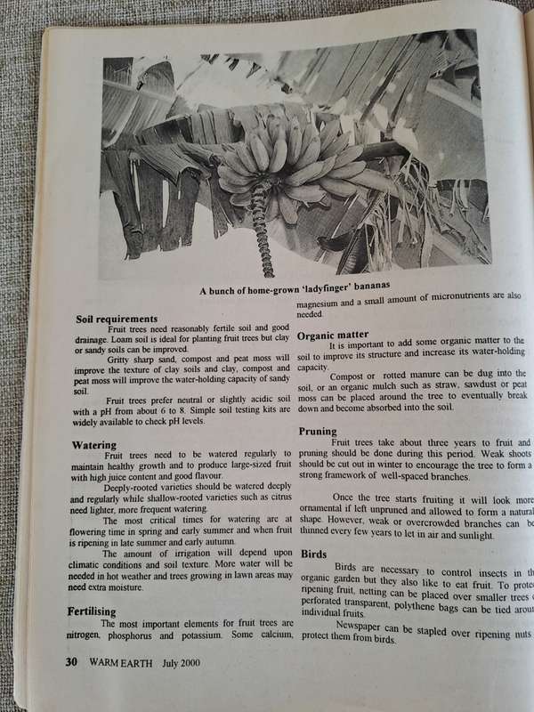 Warm Earth: Organic Growing - Healthy Living 2000 (3 magazines)