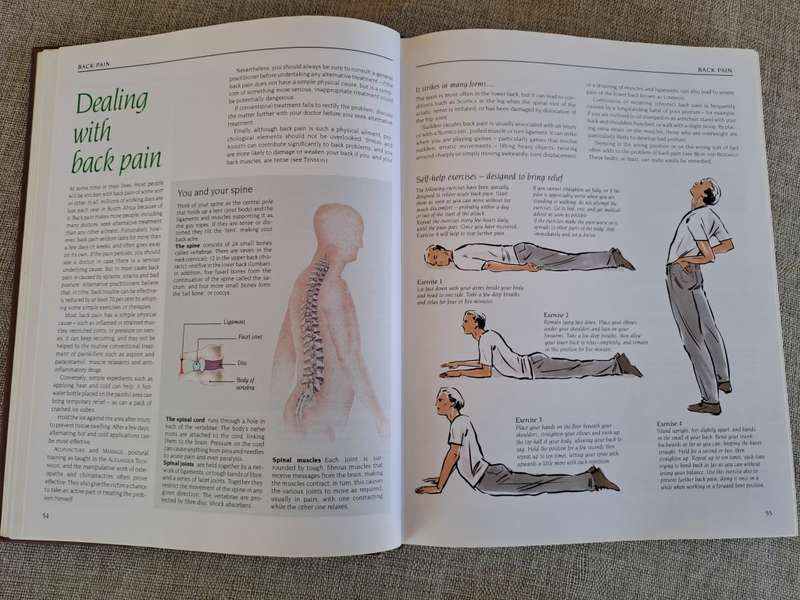 Reader`s Digest South African Family Guide to Natural Medicine