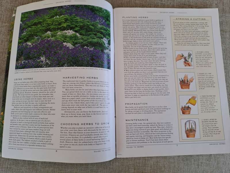 A Grower`s Guide to Herbs - Woolworths