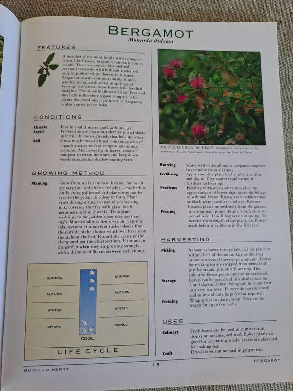 A Grower`s Guide to Herbs - Woolworths