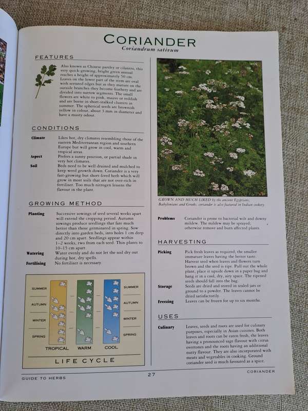 A Grower`s Guide to Herbs - Woolworths