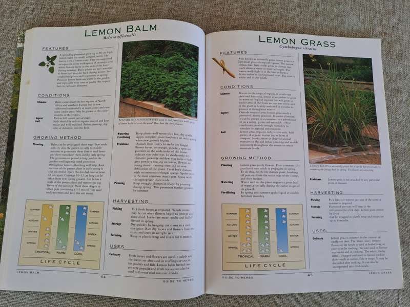 A Grower`s Guide to Herbs - Woolworths