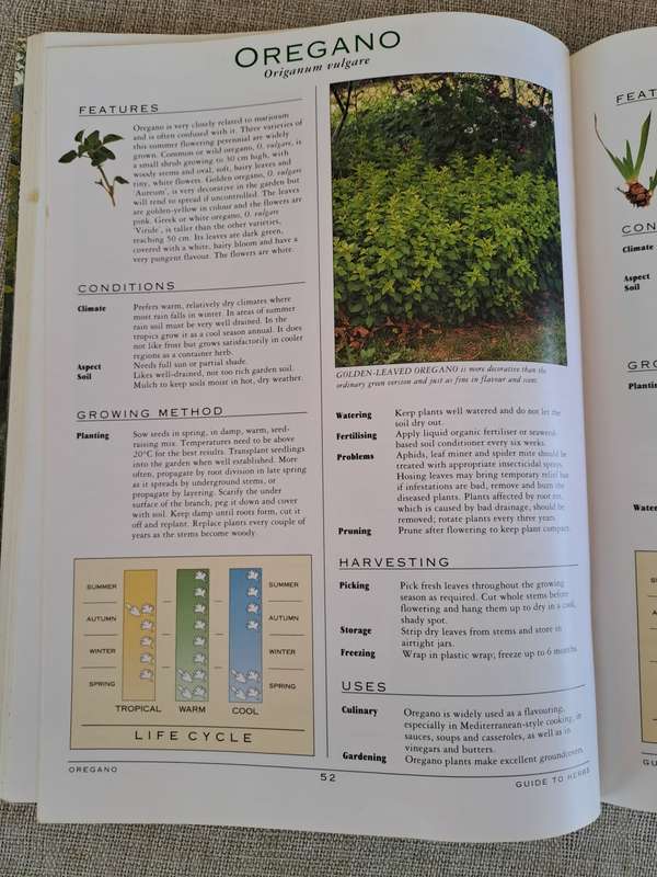 A Grower`s Guide to Herbs - Woolworths
