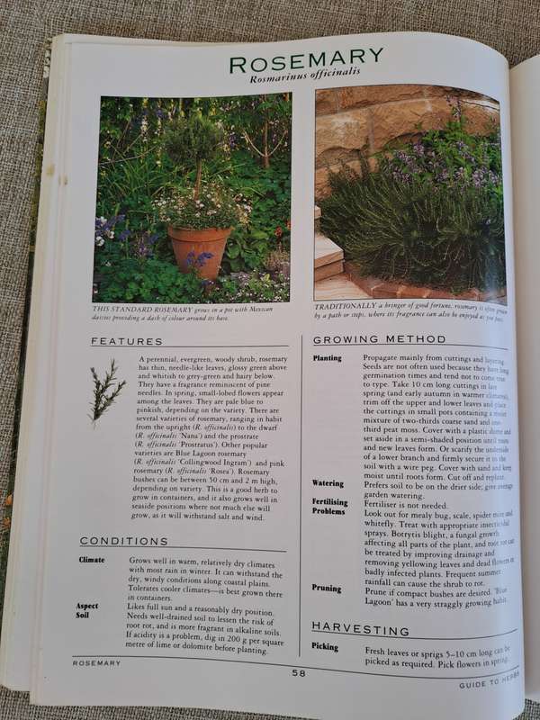 A Grower`s Guide to Herbs - Woolworths