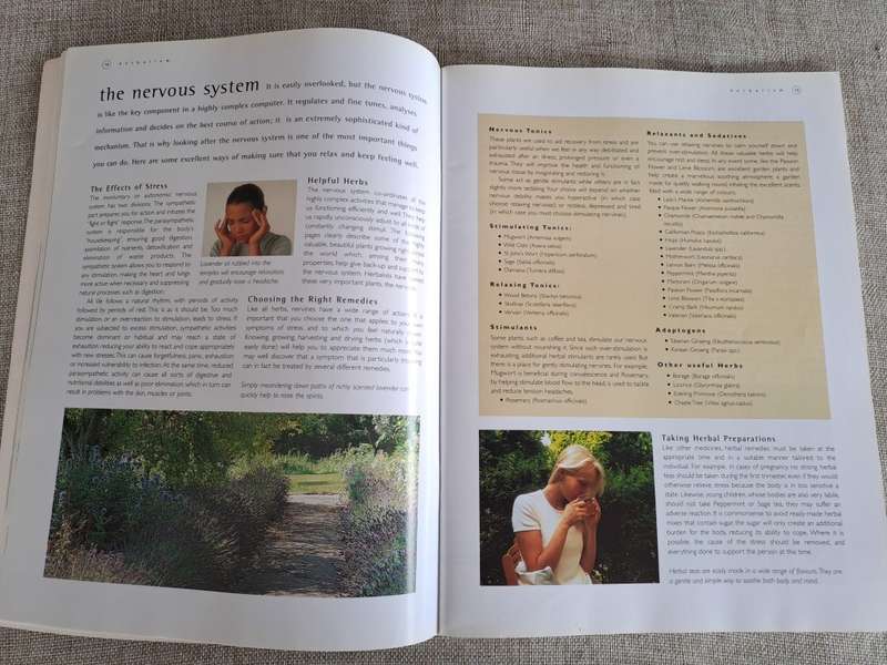 Herbal Home Doctor - Robin Hayfield, Sue Hawkey, Sally Morningstar