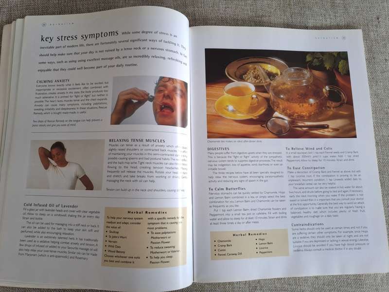 Herbal Home Doctor - Robin Hayfield, Sue Hawkey, Sally Morningstar