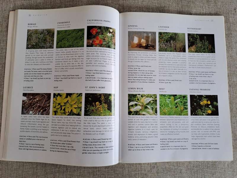 Herbal Home Doctor - Robin Hayfield, Sue Hawkey, Sally Morningstar