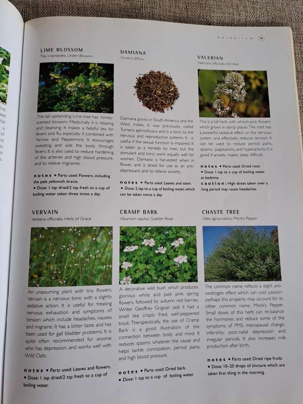 Herbal Home Doctor - Robin Hayfield, Sue Hawkey, Sally Morningstar