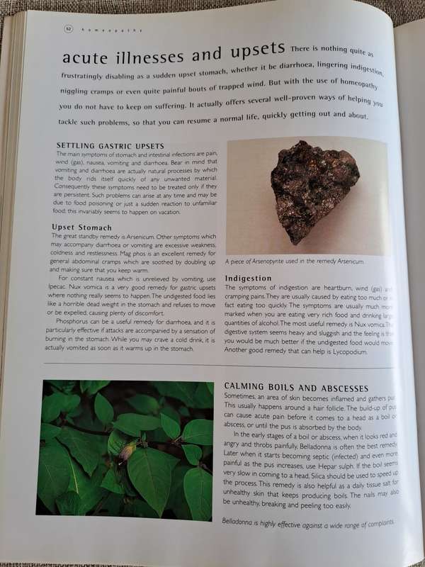 Herbal Home Doctor - Robin Hayfield, Sue Hawkey, Sally Morningstar