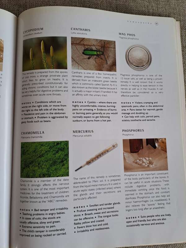 Herbal Home Doctor - Robin Hayfield, Sue Hawkey, Sally Morningstar