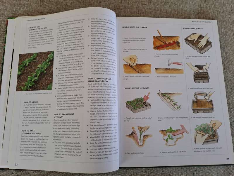 Food from Your Garden: A Southern African Guide to Growing Your Own Fruit, Vegetables and Herbs