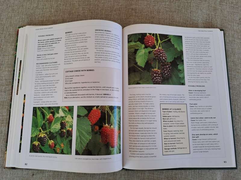 Food from Your Garden: A Southern African Guide to Growing Your Own Fruit, Vegetables and Herbs