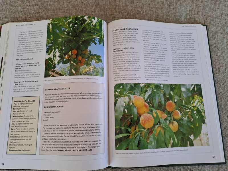 Food from Your Garden: A Southern African Guide to Growing Your Own Fruit, Vegetables and Herbs