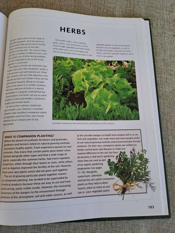 Food from Your Garden: A Southern African Guide to Growing Your Own Fruit, Vegetables and Herbs