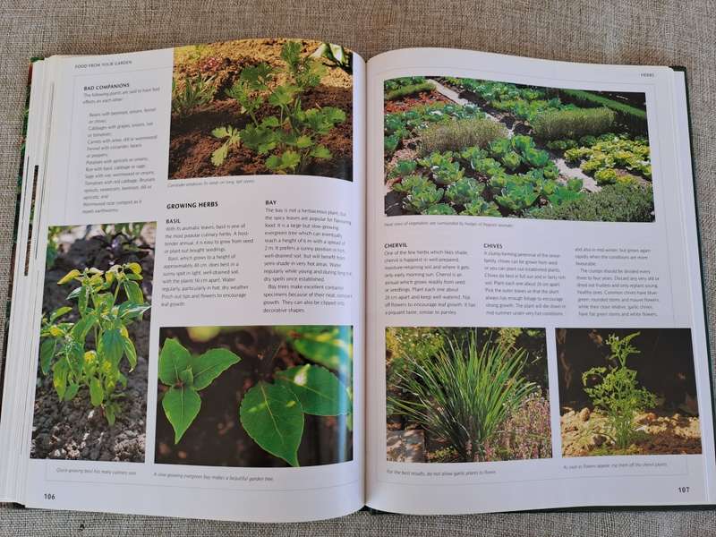 Food from Your Garden: A Southern African Guide to Growing Your Own Fruit, Vegetables and Herbs