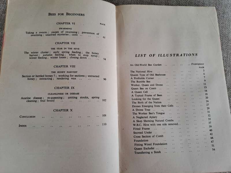Bees for Beginners - E.H. Taylor Ltd.