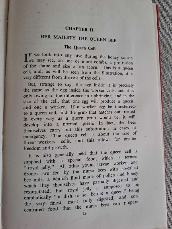 Bees for Beginners - E.H. Taylor Ltd.