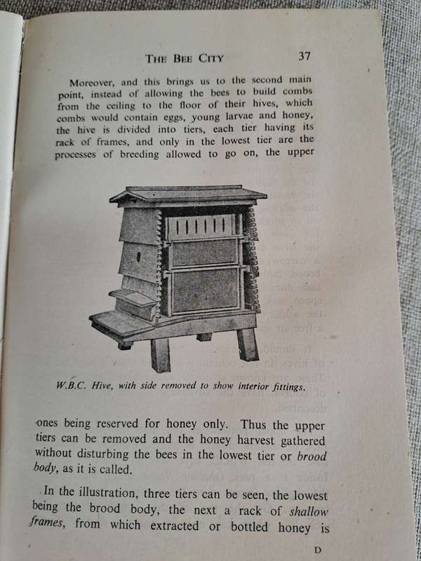 Bees for Beginners - E.H. Taylor Ltd.
