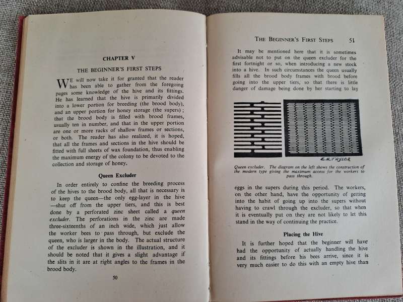 Bees for Beginners - E.H. Taylor Ltd.