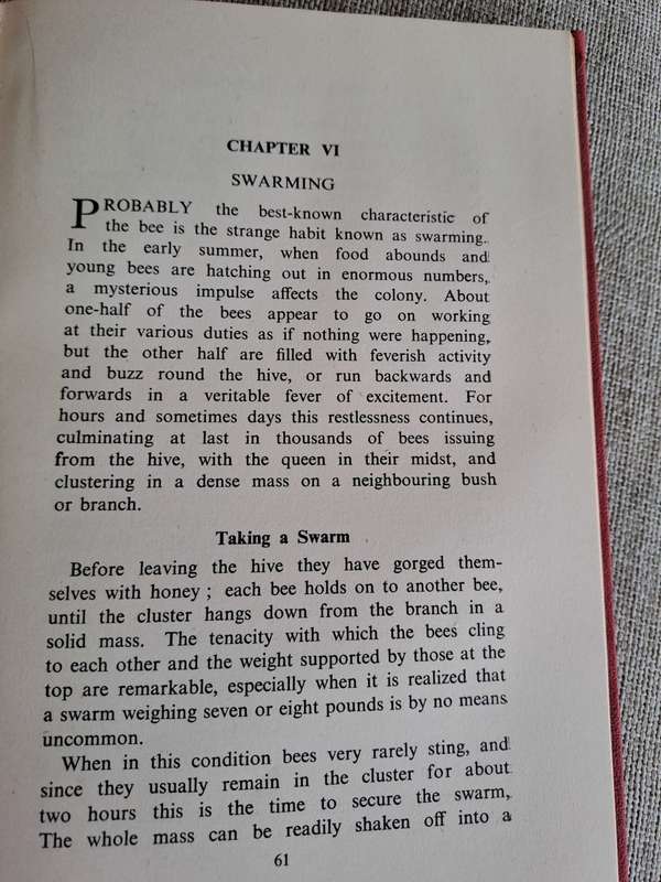 Bees for Beginners - E.H. Taylor Ltd.