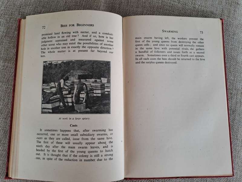 Bees for Beginners - E.H. Taylor Ltd.