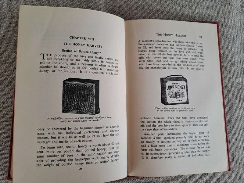 Bees for Beginners - E.H. Taylor Ltd.