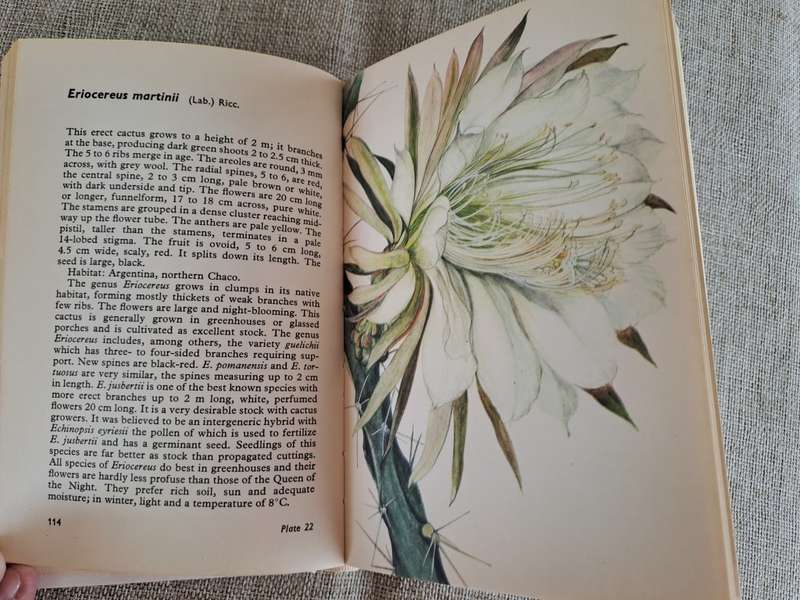 Cacti and Succulents - Rudolf Subik
